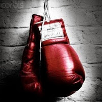 Because Sometimes Folks Just Need to Get Punched: 7 Quick Takes XXXVII